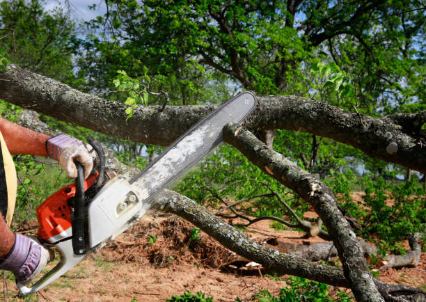 Landscape Design and Installation in Alto, TX